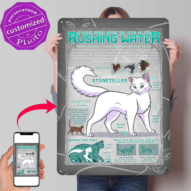 Guide to Rushing Water Cats Ti - Retro Gaming Guide review and price