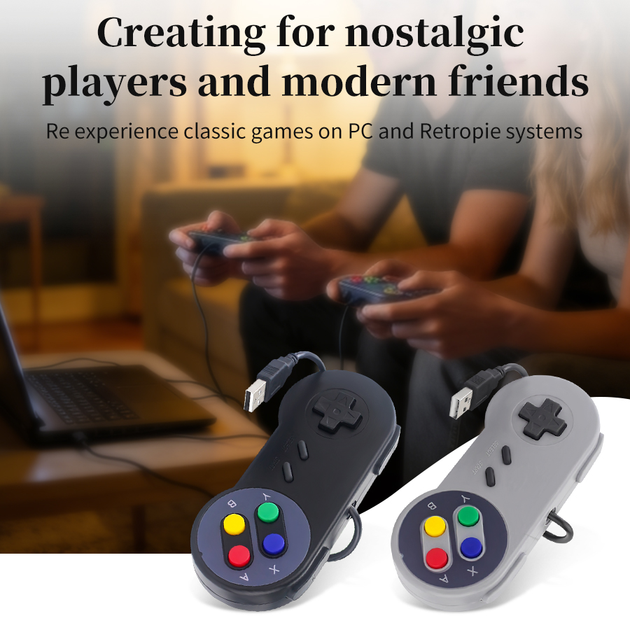Plug and Play USB Gamepad for  - Retro Gaming Raspberry Pi 5 review and price